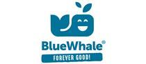 Blue Whale